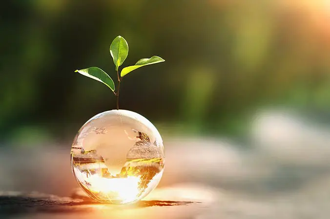 Maitriser son impact environnemental par la sécurité et l'accompagnement d'Alrick Voirin Consultant HSE : une photo avec un globe en verre dans lequel on aperçoit la maitrise de l'eau et une plante en croissance